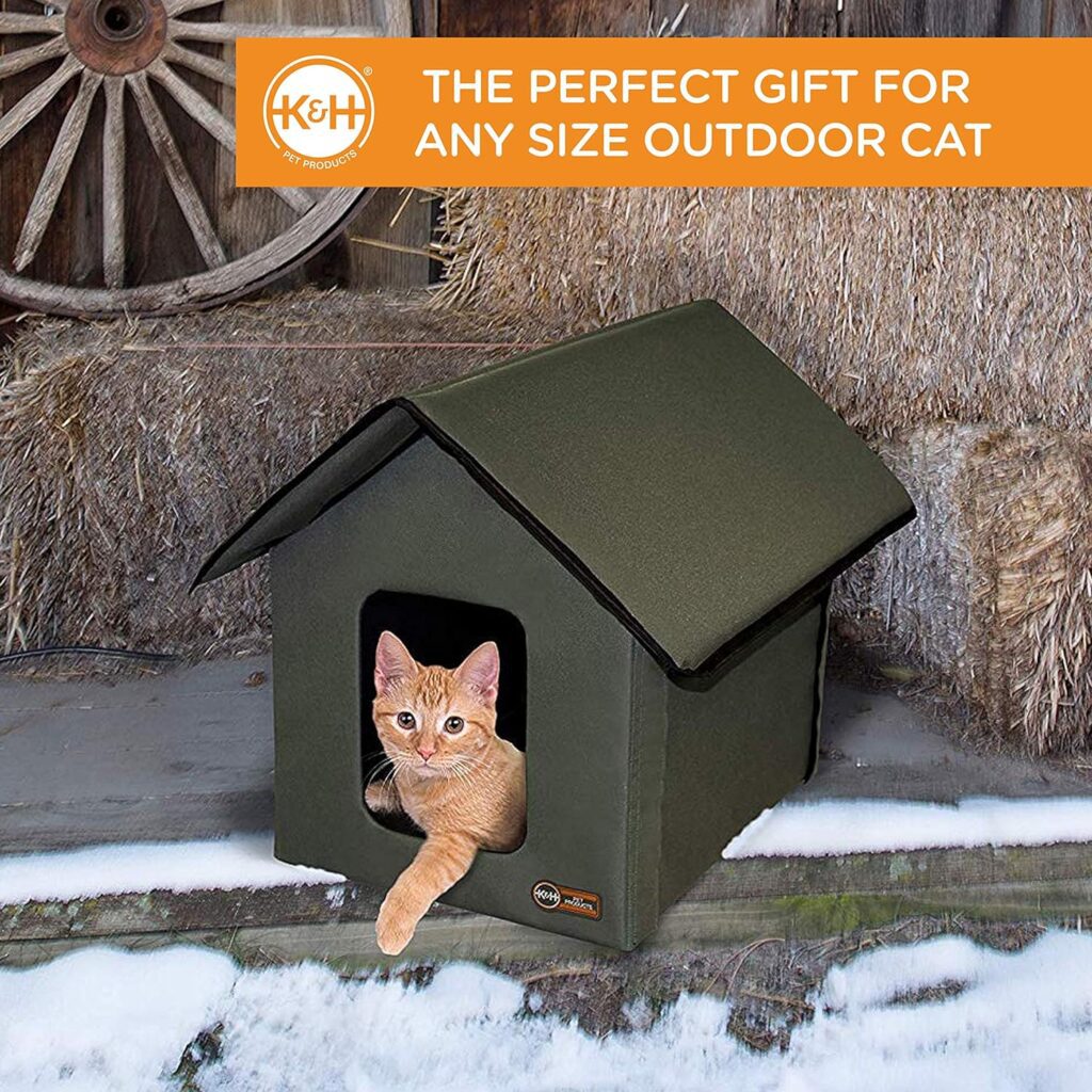Best outdoor cat house for winter