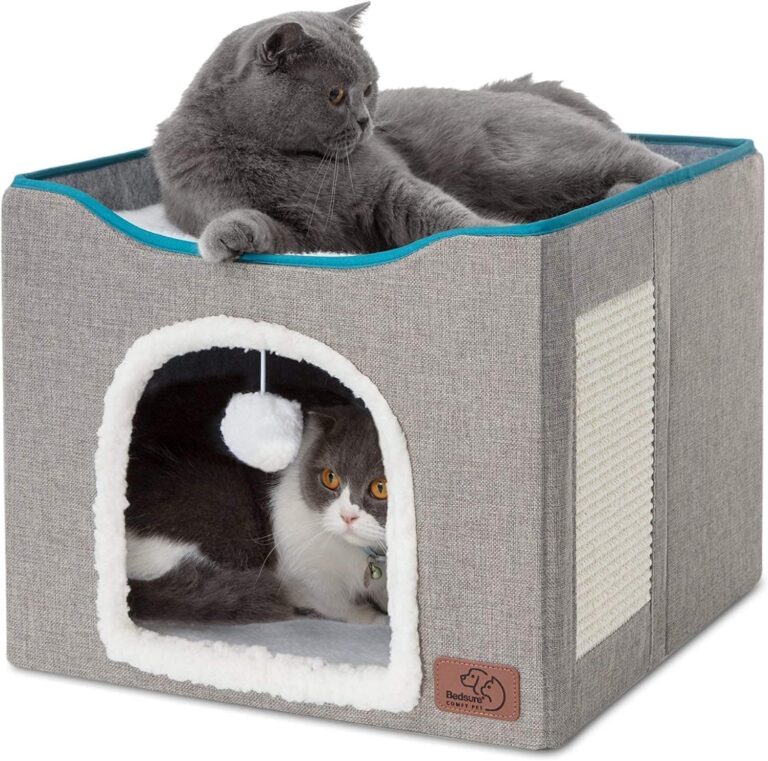 Best Cat House for Large Cats