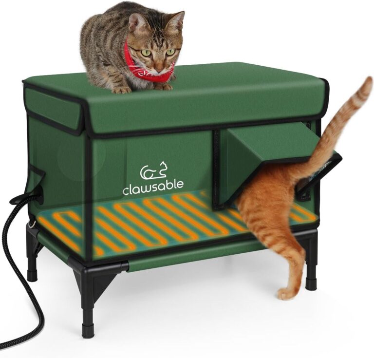 Best Outdoor Cat Houses for Cold Weather